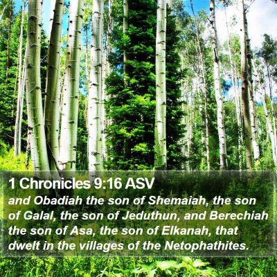 1 Chronicles 9:16 ASV Bible Verse Image