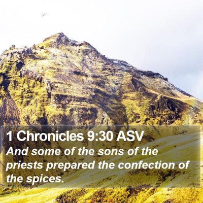 1 Chronicles 9:30 ASV Bible Verse Image