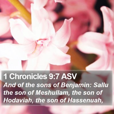 1 Chronicles 9:7 ASV Bible Verse Image