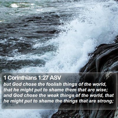 1 Corinthians 1:27 ASV Bible Verse Image