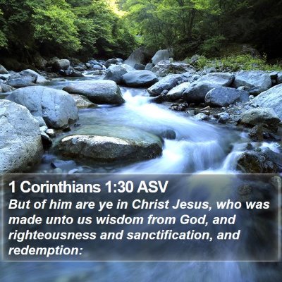 1 Corinthians 1:30 ASV Bible Verse Image