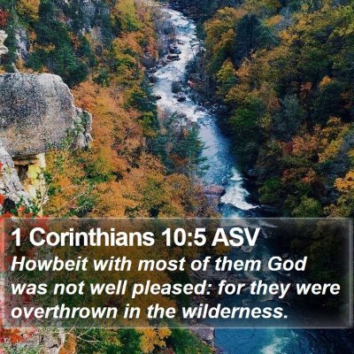 1 Corinthians 10:5 ASV Bible Verse Image