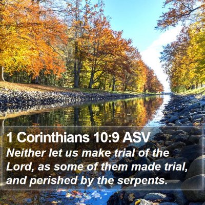 1 Corinthians 10:9 ASV Bible Verse Image