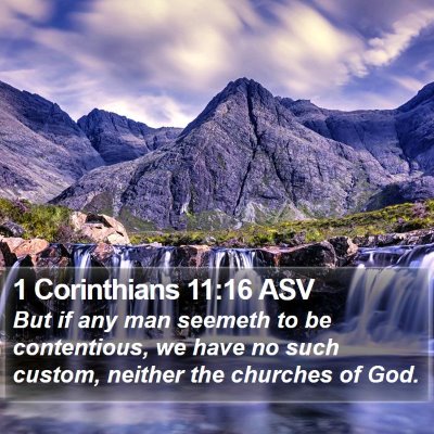 1 Corinthians 11:16 ASV Bible Verse Image