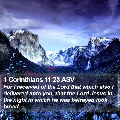 1 Corinthians 11:23 ASV Bible Verse Image