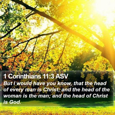 1 Corinthians 11:3 ASV Bible Verse Image