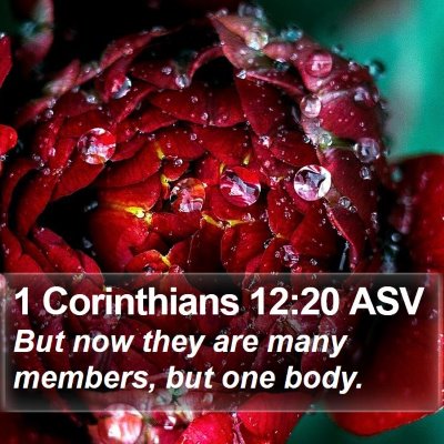 1 Corinthians 12:20 ASV Bible Verse Image
