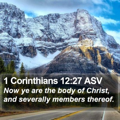 1 Corinthians 12:27 ASV Bible Verse Image
