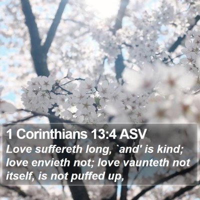 1 Corinthians 13:4 ASV Bible Verse Image