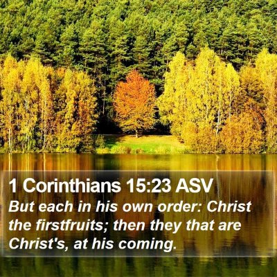1 Corinthians 15:23 ASV Bible Verse Image