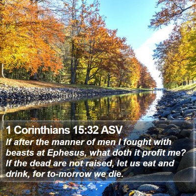 1 Corinthians 15:32 ASV Bible Verse Image