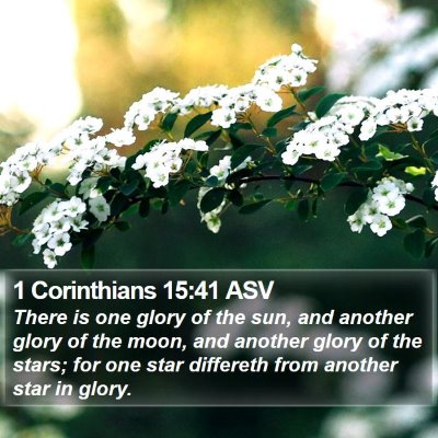 1 Corinthians 15:41 ASV Bible Verse Image