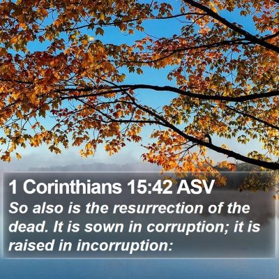 1 Corinthians 15:42 ASV Bible Verse Image