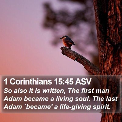 1 Corinthians 15:45 ASV Bible Verse Image