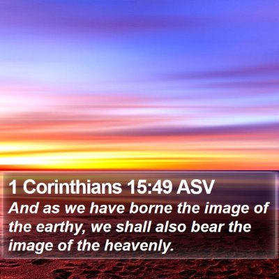 1 Corinthians 15:49 ASV Bible Verse Image