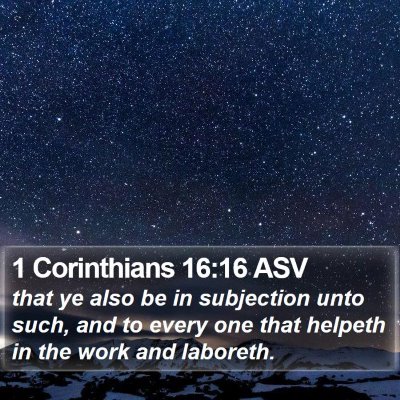 1 Corinthians 16:16 ASV Bible Verse Image