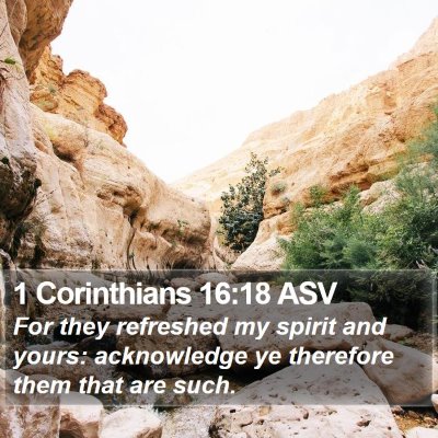 1 Corinthians 16:18 ASV Bible Verse Image