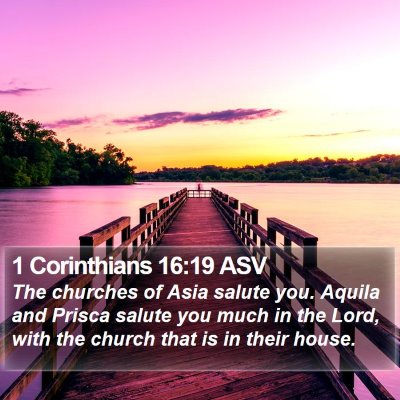 1 Corinthians 16:19 ASV Bible Verse Image