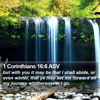 1 Corinthians 16:6 ASV Bible Verse Image