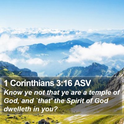 1 Corinthians 3:16 ASV Bible Verse Image