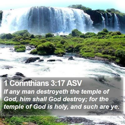 1 Corinthians 3:17 ASV Bible Verse Image