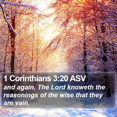 1 Corinthians 3:20 ASV Bible Verse Image