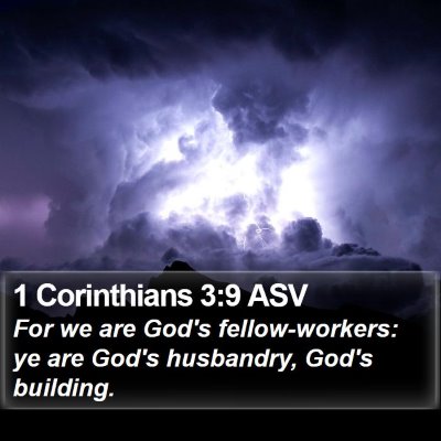1 Corinthians 3:9 ASV Bible Verse Image