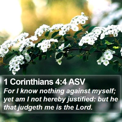 1 Corinthians 4:4 ASV Bible Verse Image