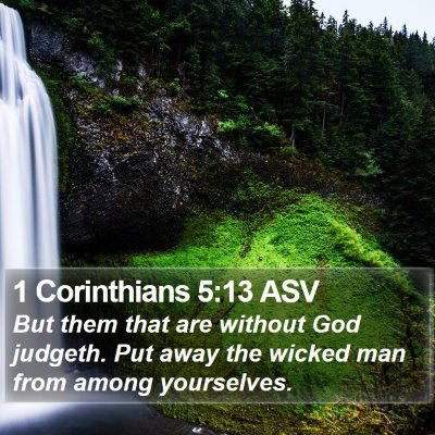 1 Corinthians 5:13 ASV Bible Verse Image