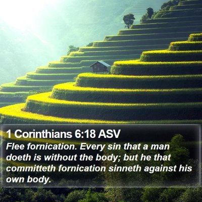 1 Corinthians 6:18 ASV Bible Verse Image