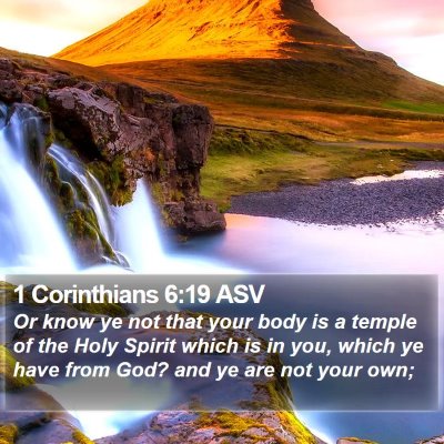 1 Corinthians 6:19 ASV Bible Verse Image