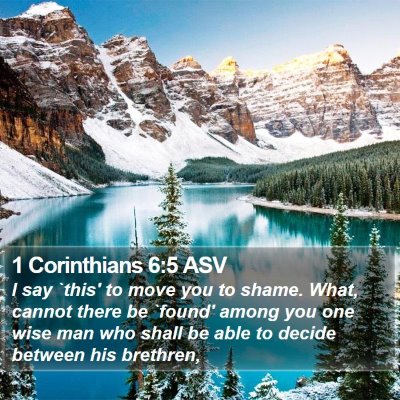 1 Corinthians 6:5 ASV Bible Verse Image