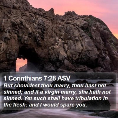 1 Corinthians 7:28 ASV Bible Verse Image