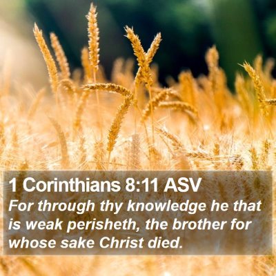1 Corinthians 8:11 ASV Bible Verse Image