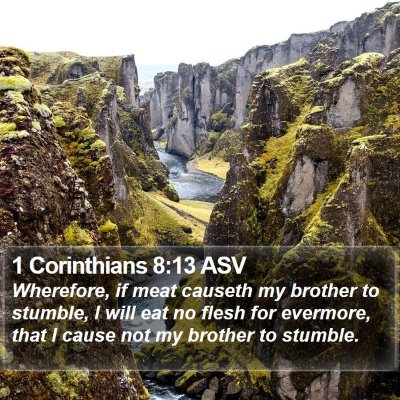 1 Corinthians 8:13 ASV Bible Verse Image