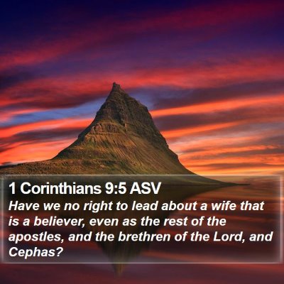 1 Corinthians 9:5 ASV Bible Verse Image