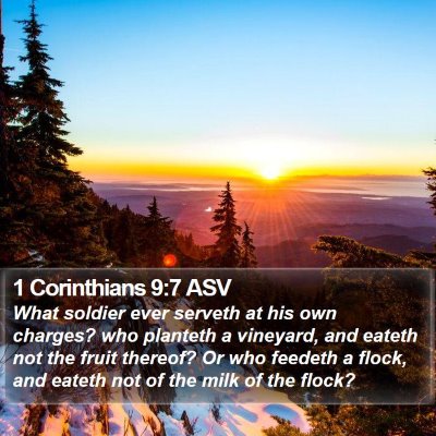 1 Corinthians 9:7 ASV Bible Verse Image