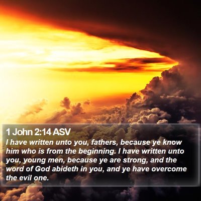 1 John 2:14 ASV Bible Verse Image