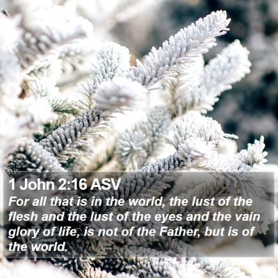1 John 2:16 ASV Bible Verse Image
