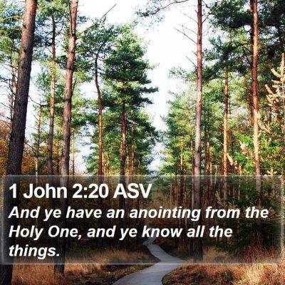 1 John 2:20 ASV Bible Verse Image
