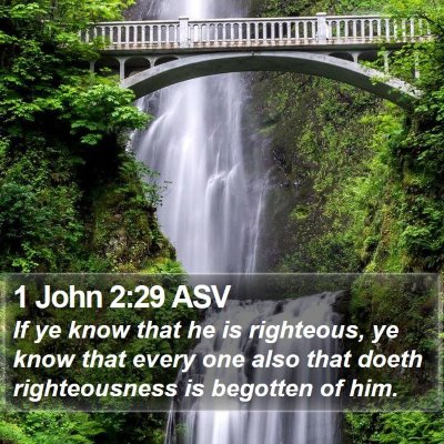 1 John 2:29 ASV Bible Verse Image
