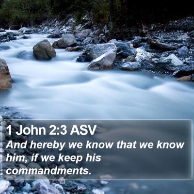 1 John 2:3 ASV Bible Verse Image
