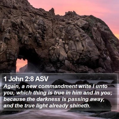 1 John 2:8 ASV Bible Verse Image