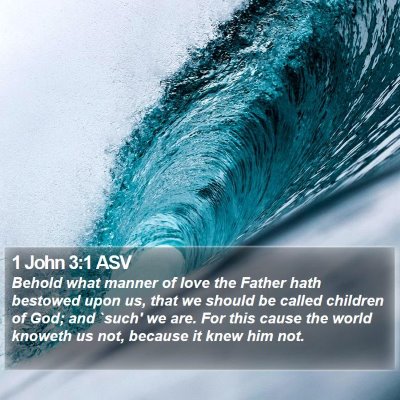 1 John 3:1 ASV Bible Verse Image