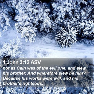 1 John 3:12 ASV Bible Verse Image