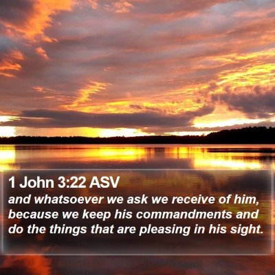1 John 3:22 ASV Bible Verse Image