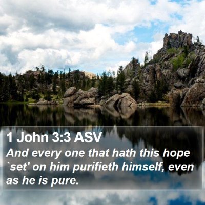 1 John 3:3 ASV Bible Verse Image