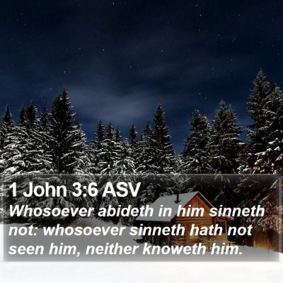 1 John 3:6 ASV Bible Verse Image