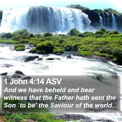 1 John 4:14 ASV Bible Verse Image