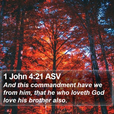 1 John 4:21 ASV Bible Verse Image